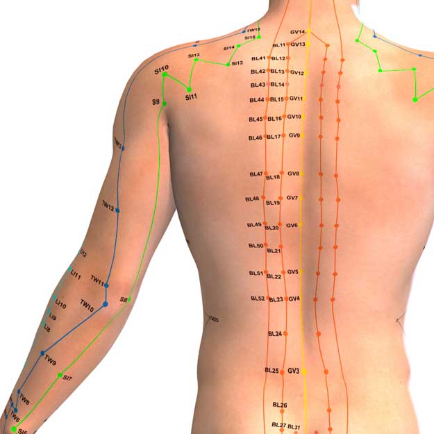 acupressure at al Covo